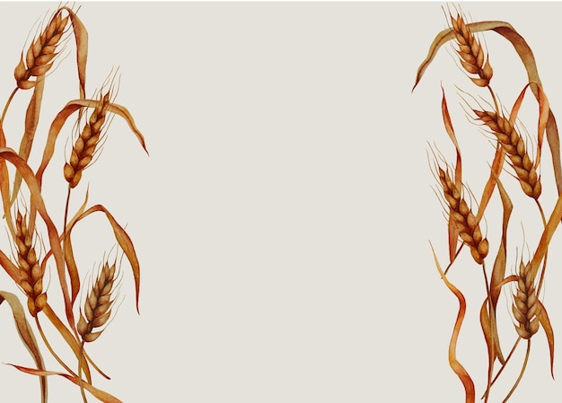 Watercolor wheat ears frame