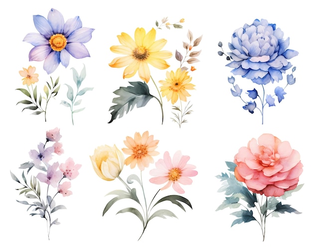 PSD clipart vintage di fiori selvatici dell'acquerello