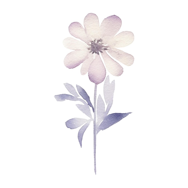 PSD Иллюстрация акварельных диких цветов, нарисованная вручную, изолированная на белом фоне