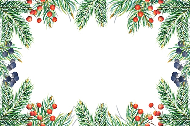 watercolour fir rectangular frame with branches red and blue berries