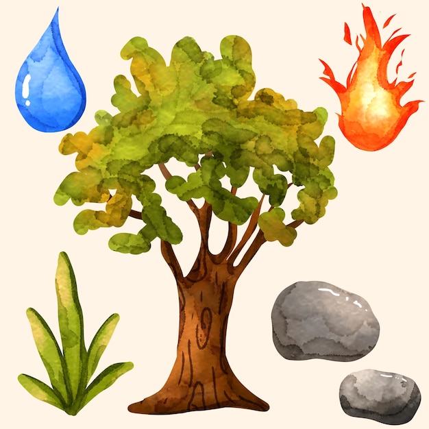 watercolour illustrations of various earth elements tree element water fire stone and plants
