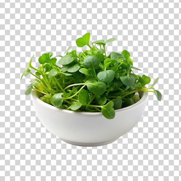 PSD watercress on bowl on transparent background