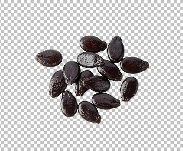 Watermelon seeds isolated on alpha layer