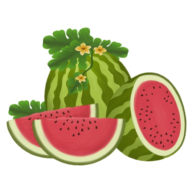 PSD watermelonvruchten