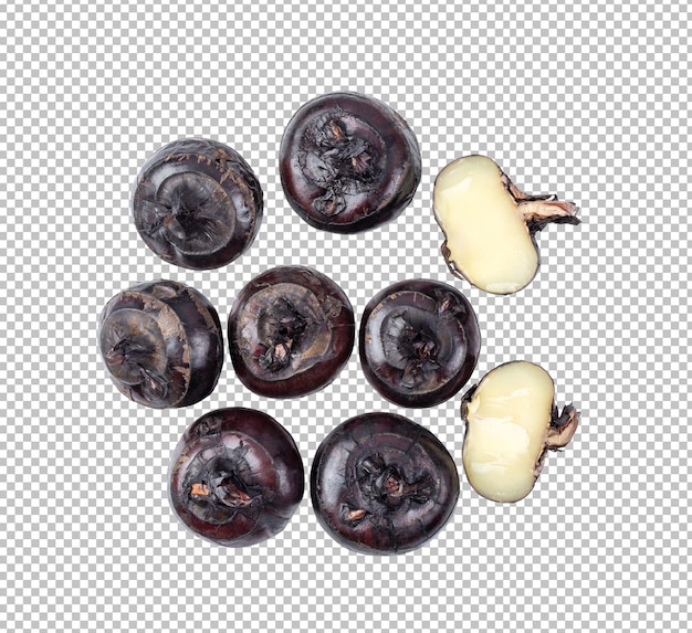 PSD waternut isolated on alpha layer