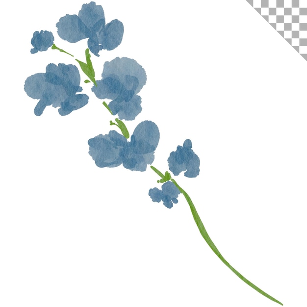 Waterverf blauwe bloem Waterverf illustratie stijl met bloemen thema