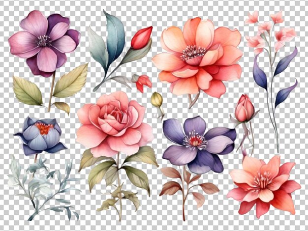 PSD waterverf bloemenarrangement png