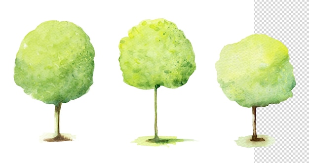 Waterverf groene bomen set