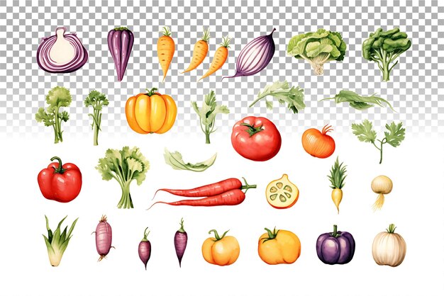 PSD waterverf groenten set veganistisch gezonde voeding illustratie voor culinaire verrassingen