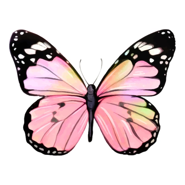 Waterverf illustratie van een vlinder
