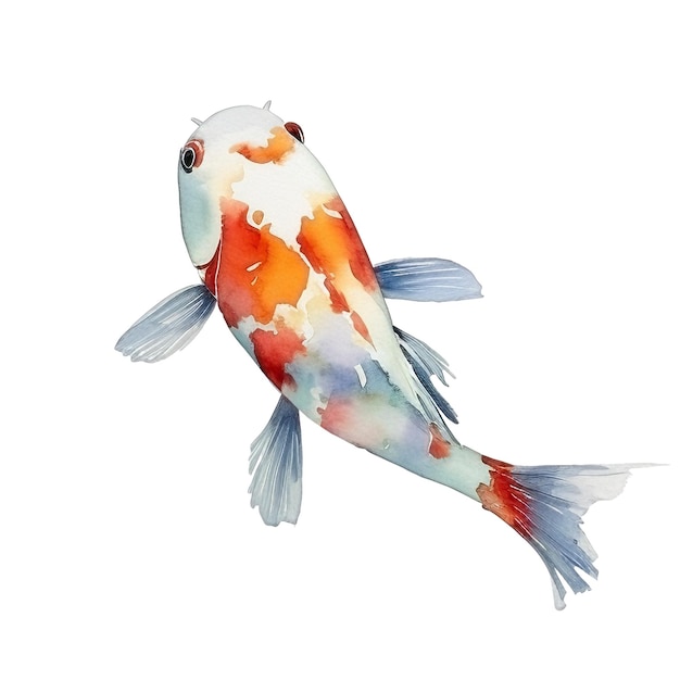 Waterverf Koi Carp vis Illustratie met de hand getekend ontwerpelement geïsoleerd op een witte achtergrond