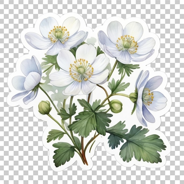 PSD waterverf verschillende bloemen sticker ontwerp transparante achtergrond