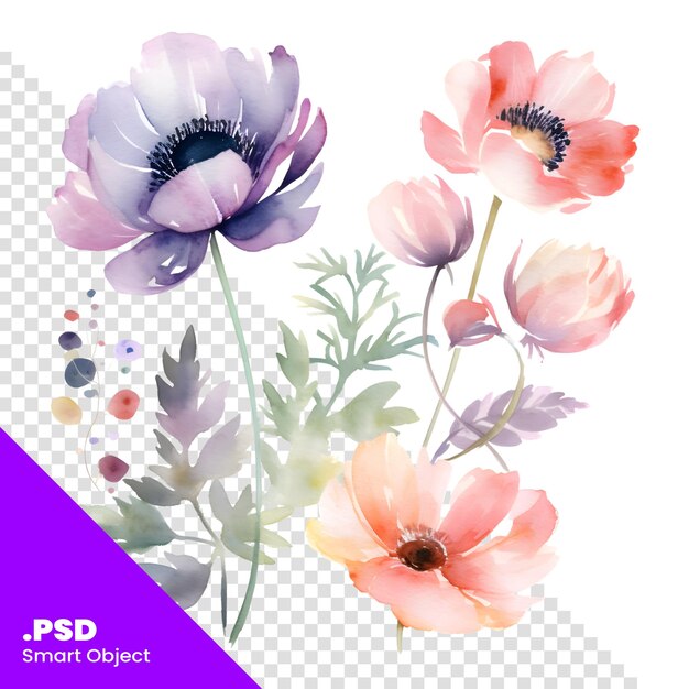 PSD waterverfillustratie van anemonenbloemen geïsoleerd op witte achtergrond psd-sjabloon