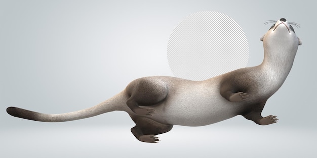 Weasel isolated on a transparent background