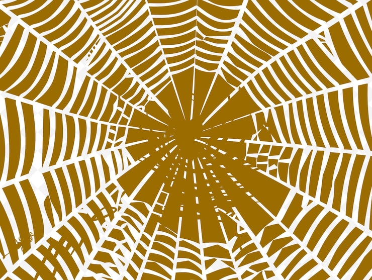 PSD web spider silk texture with radial threads and delicate in png creative overlay background decor