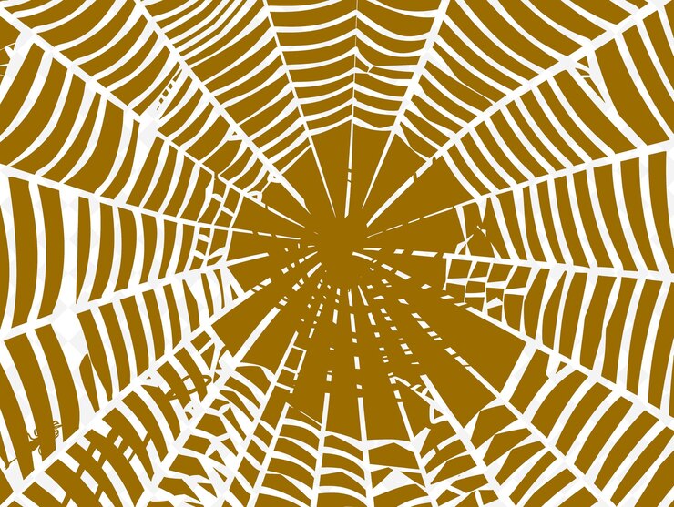 PSD web spider silk texture with radial threads and delicate in png creative overlay background decor