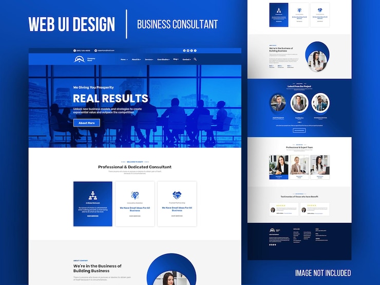 PSD web ui business consultant