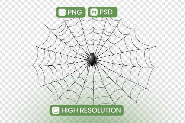 PSD web with a spider web and web icon