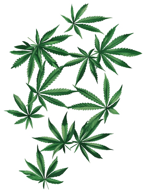 Weed bladeren patroon