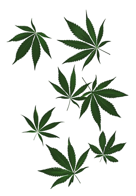 Weed bladeren patroon