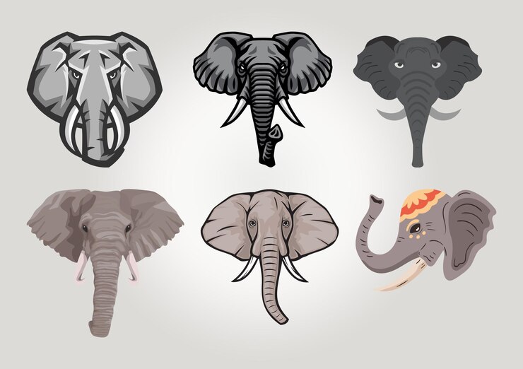 PSD wektor zbioru zestawu elephant head