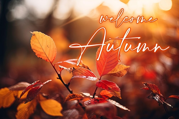 PSD welcome autumn social media post design