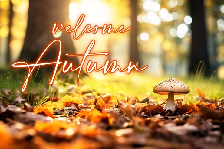 PSD welcome autumn social media post design