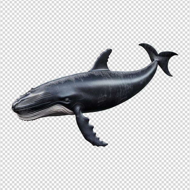 PSD whale isolated on transparent background png