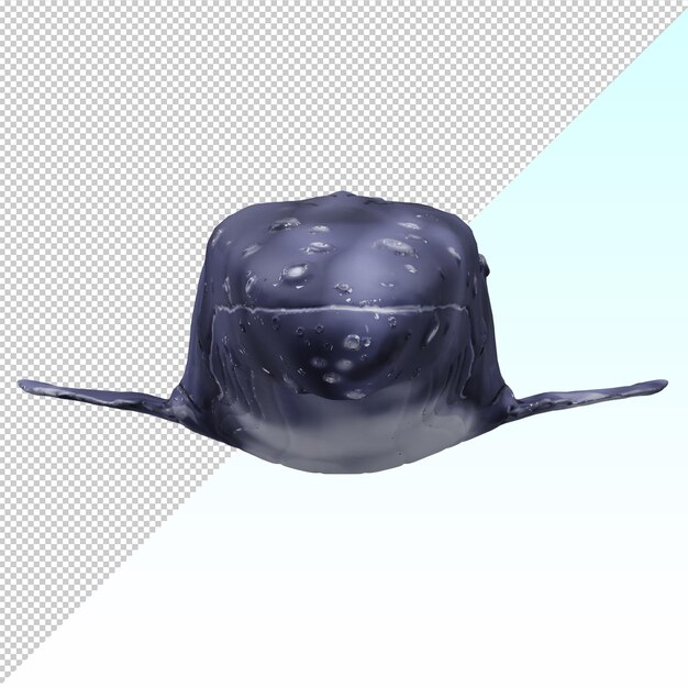 PSD whale