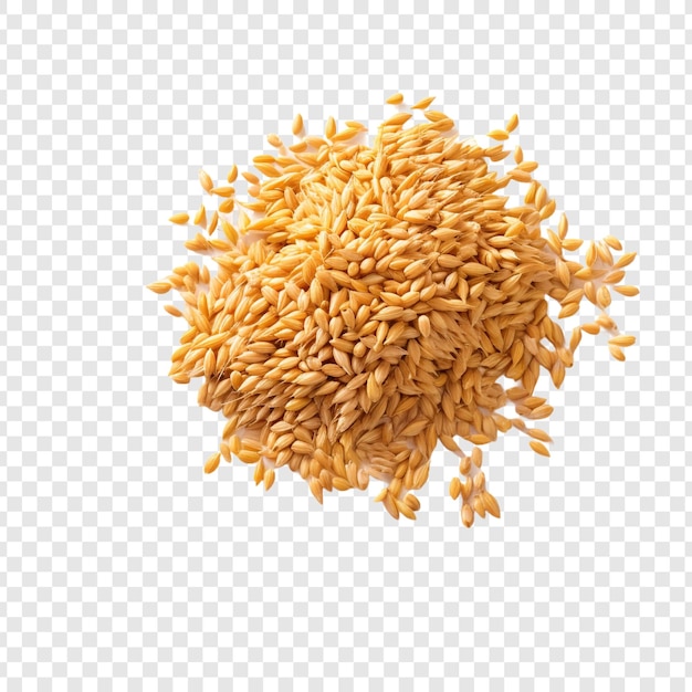 PSD wheat isolated on transparent background