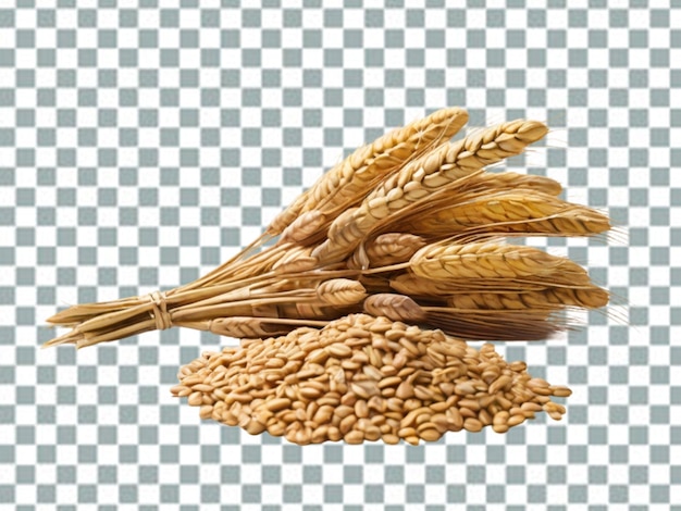 Wheat isolated on transparent background