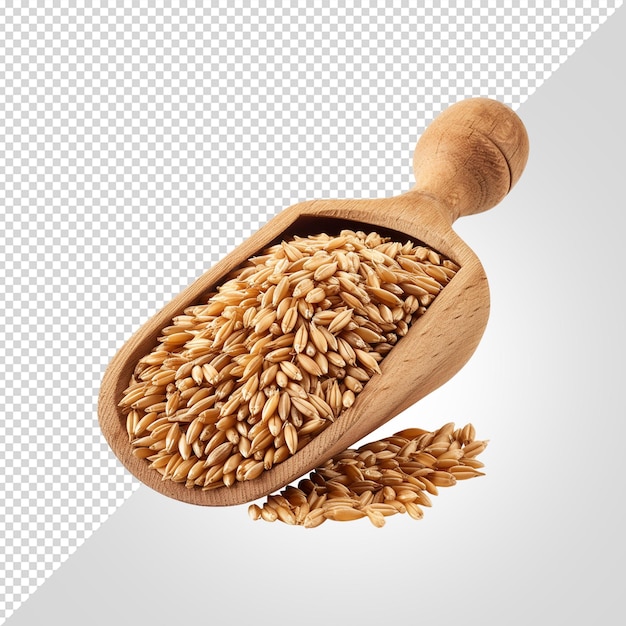 Wheat isolated on white background