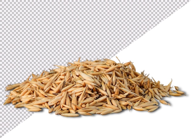 wheat seeds stacked on top of each other