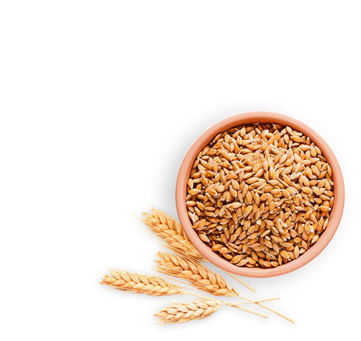 PSD wheat and stamp