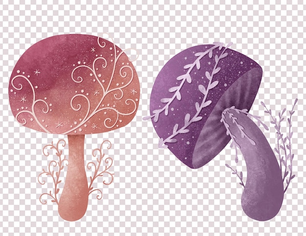 PSD whimsical mushrooms illustration