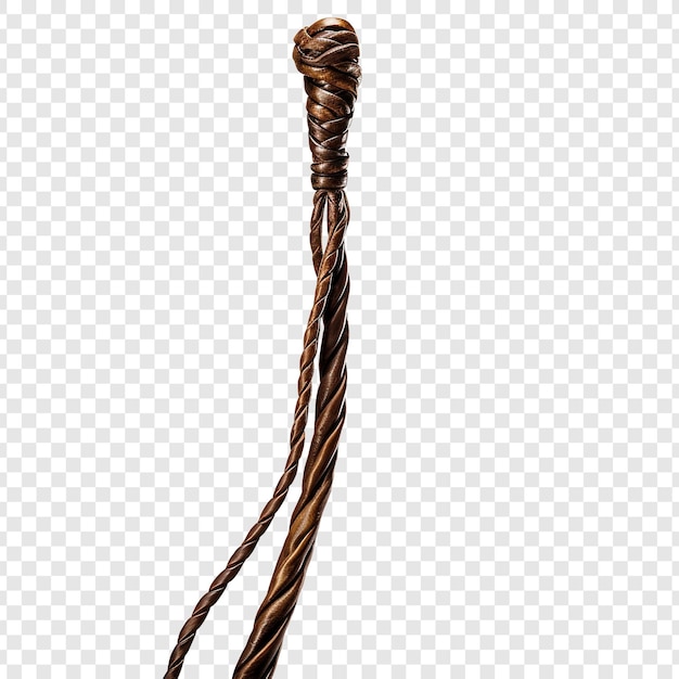 PSD whip png isolato su sfondo trasparente