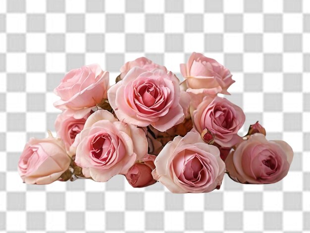 PSD white and pink flower png