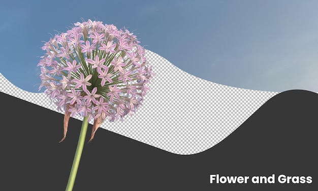 PSD 紫と白のニンニクの花を分離する