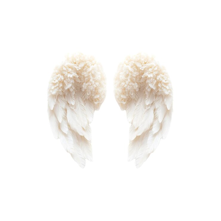PSD white angel wings isolated on on white background