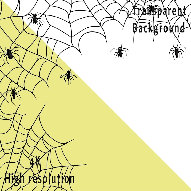 PSD white background spider web hanging on the left side of a white banner vector illustration simple lines minimalism black and gray color scheme white background png