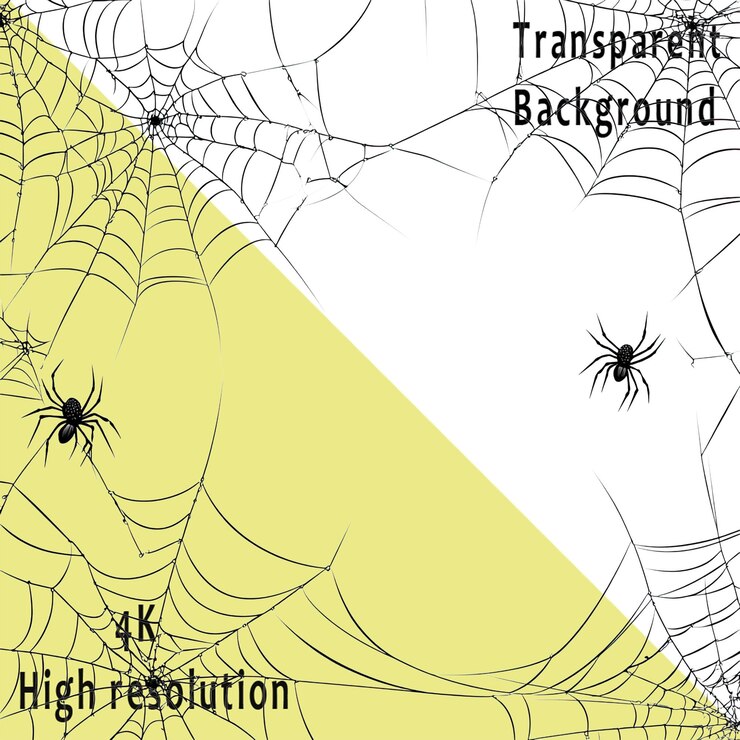 PSD white background spider web hanging on the left side of a white banner vector illustration simple lines minimalism black and gray color scheme white background png