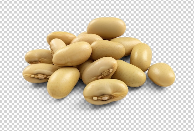 PSD white beans cut out on transparent