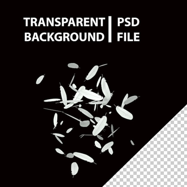 PSD white bird feathers falling png