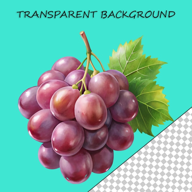 투명한 배경에 고립 된  수박 과일