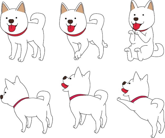 PSD white dog in various poses