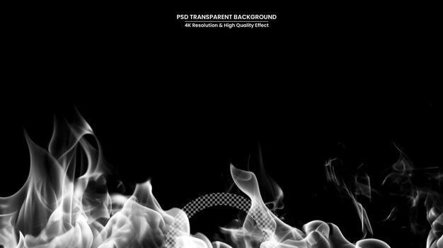 PSD white dust smoke fog powder spray and clouds from car wheels isolated on transparent background