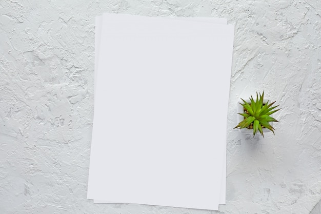 White empty paper and space for text. mockup