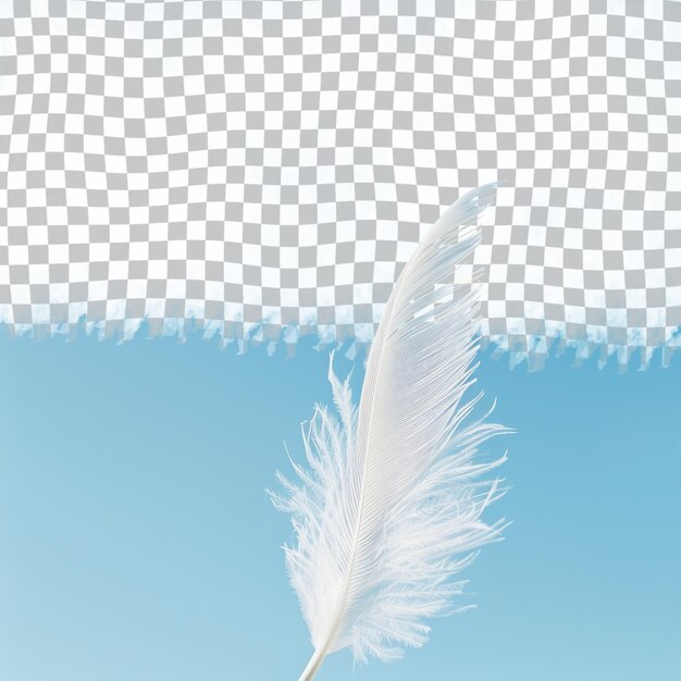 PSD a white feather with a blue sky and a white background