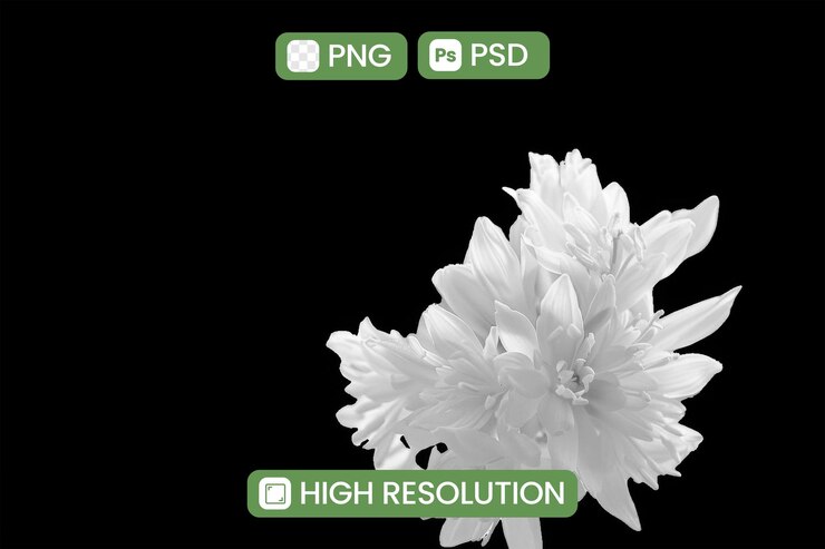 PSD 一朵白色花,上面印有綠色貼紙,上面寫著pncf