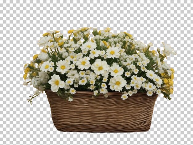 PSD white flowers in wooden basket